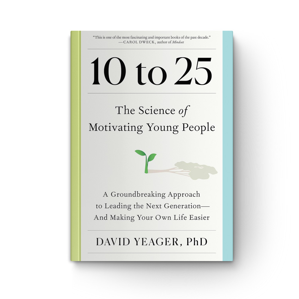 10 to 25: The Science of Motivating Young People: A Groundbreaking Approach to Leading the Next Generation—and Making Your Own Life Easier book cover