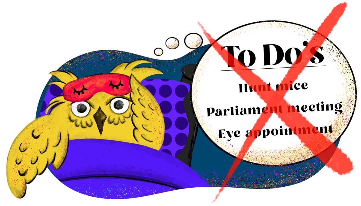 Owl is awake, unable to sleep thinking about his To-Do list which says, "Hunt Mice, Parliament Meeting and Eye Appointment".