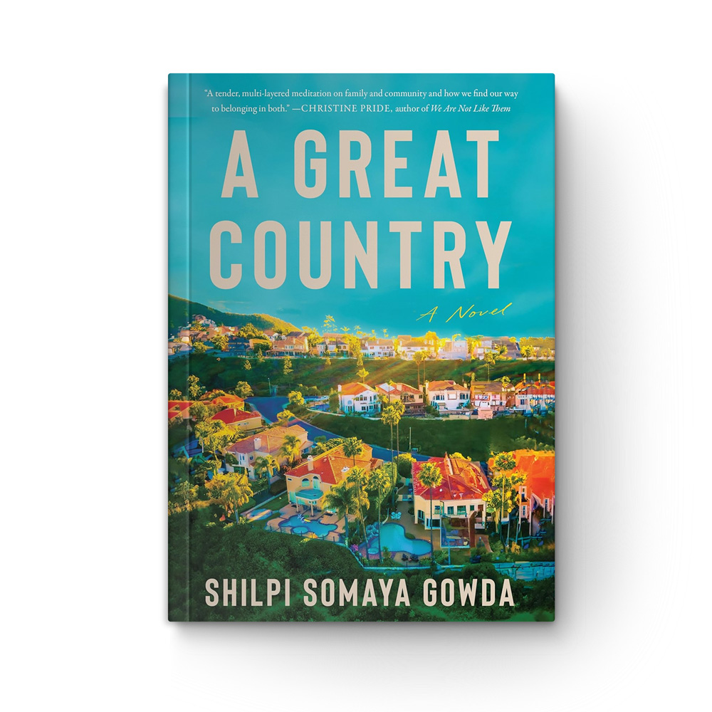 A Great Country: A Novel book cover