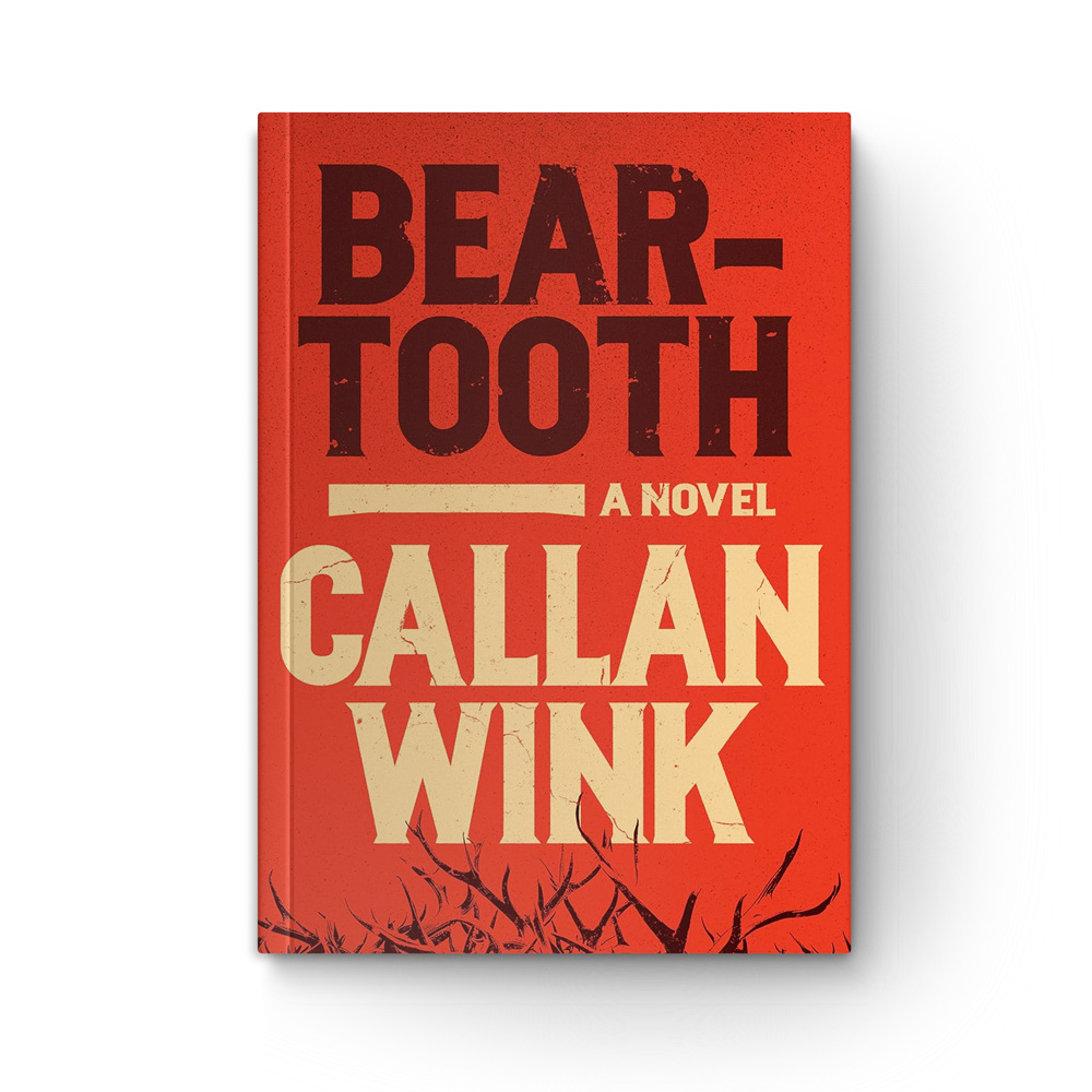 Beartooth book cover