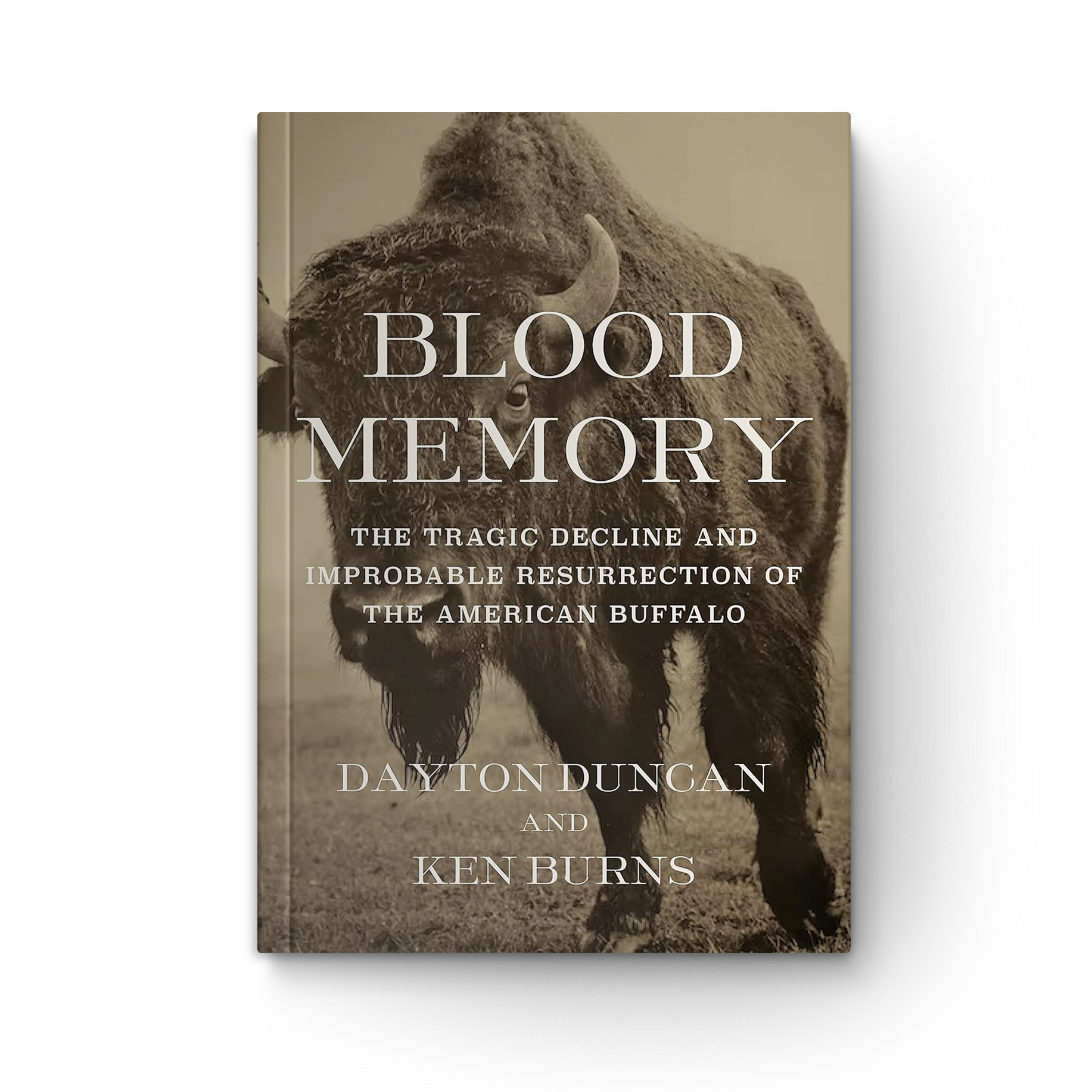 Blood Memory: The Tragic Decline and Improbable Resurrection of the American Buffalo book cover
