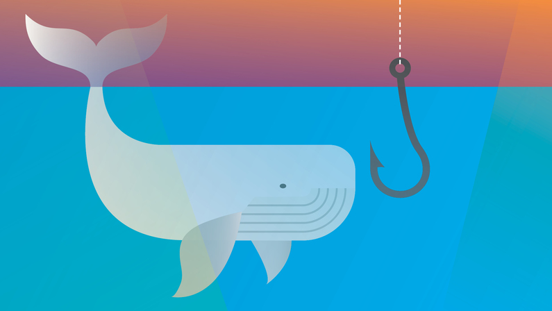 Make the Most of an Internship