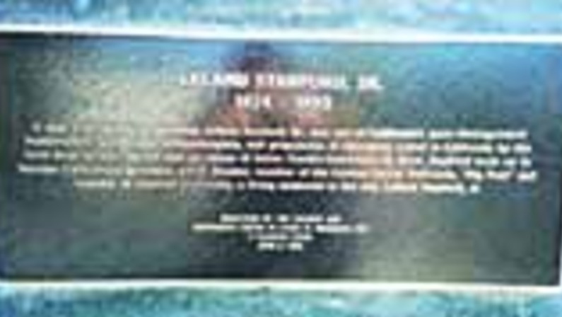 How the West Was Fun