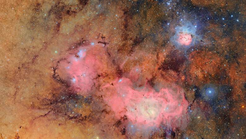 Budget cuts; organ age matters; alum puzzlers