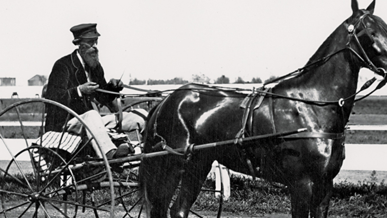 What You Don’t Know About Leland Stanford’s Horses