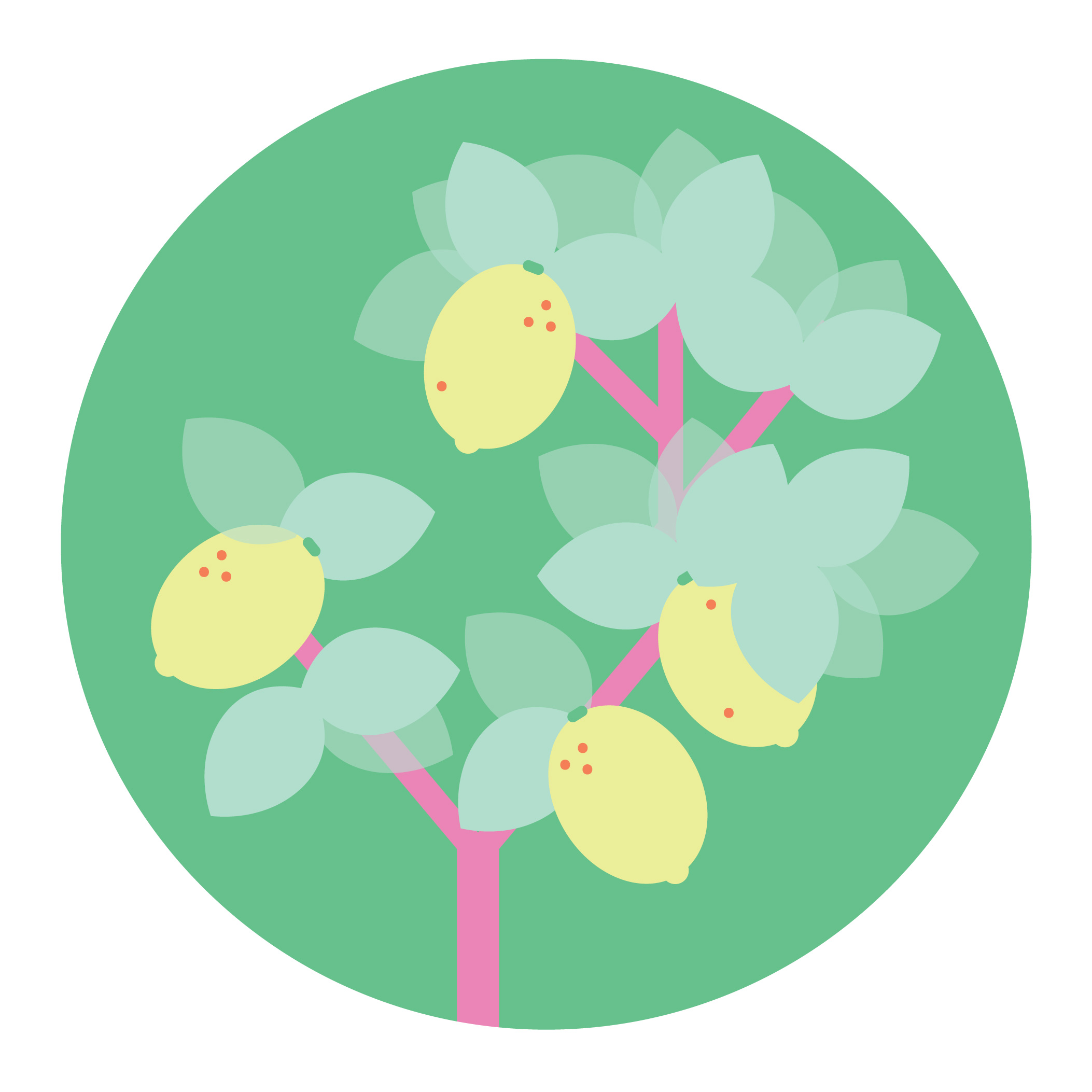 Illustration of a lemon tree