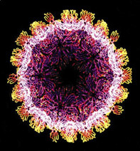 The Latest in X-Ray Vision