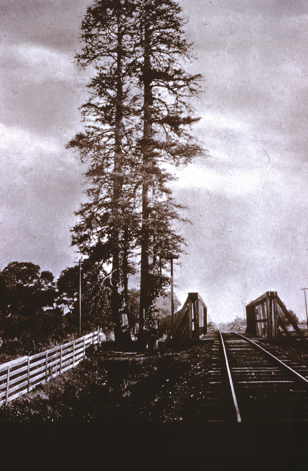 3 Things That Happened on Stanford Land Before It Was a University - uploaded image