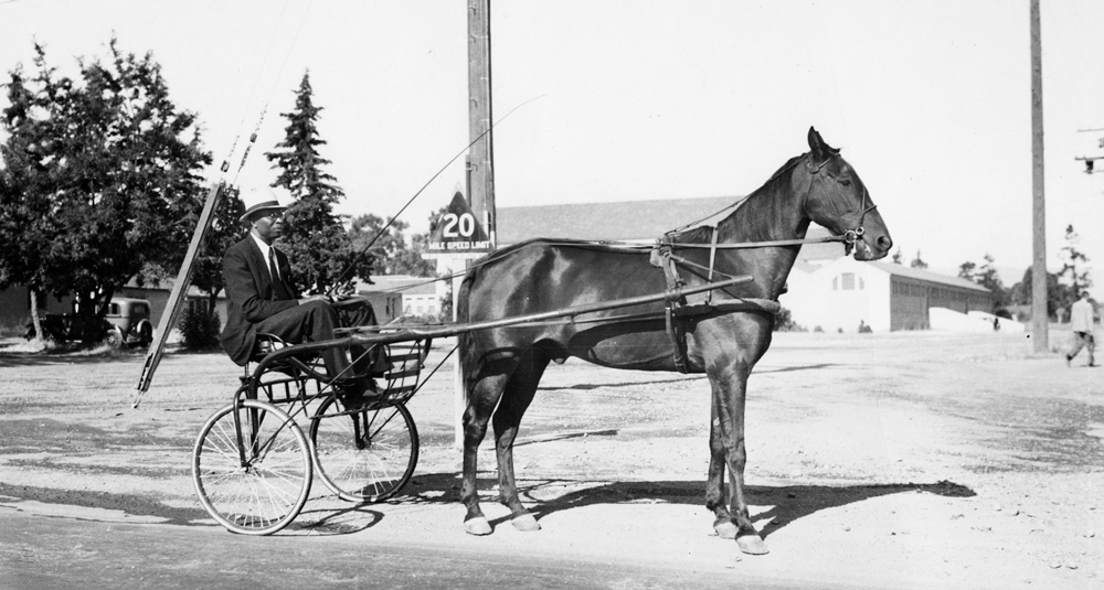 Sam McDonald driving a horse-drawn buggy. 