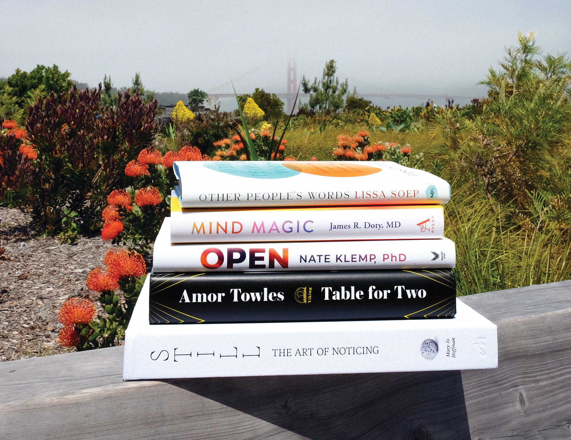 A stack of books on a wooden fence