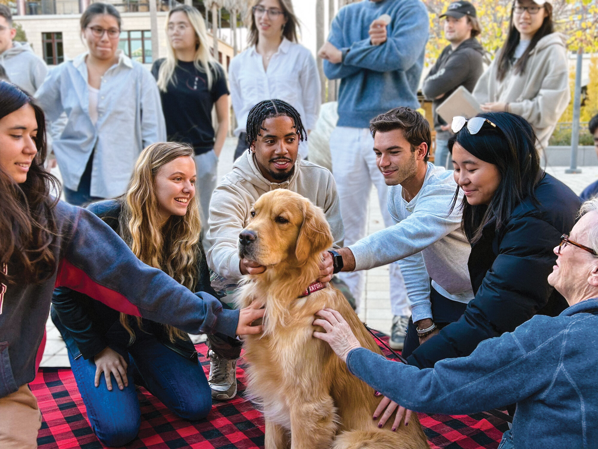 Several people surrounding a golden retriever and petting it
