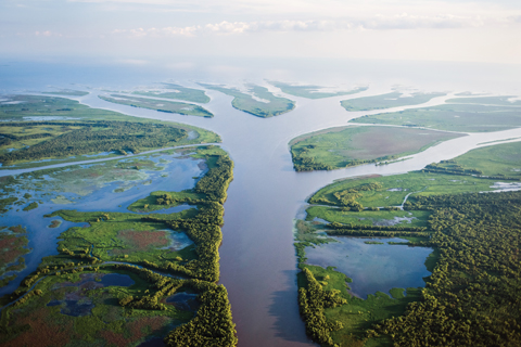 Gretchen Daily - Gulf of Mexico