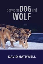 Shelf Life - Dog and Wolf