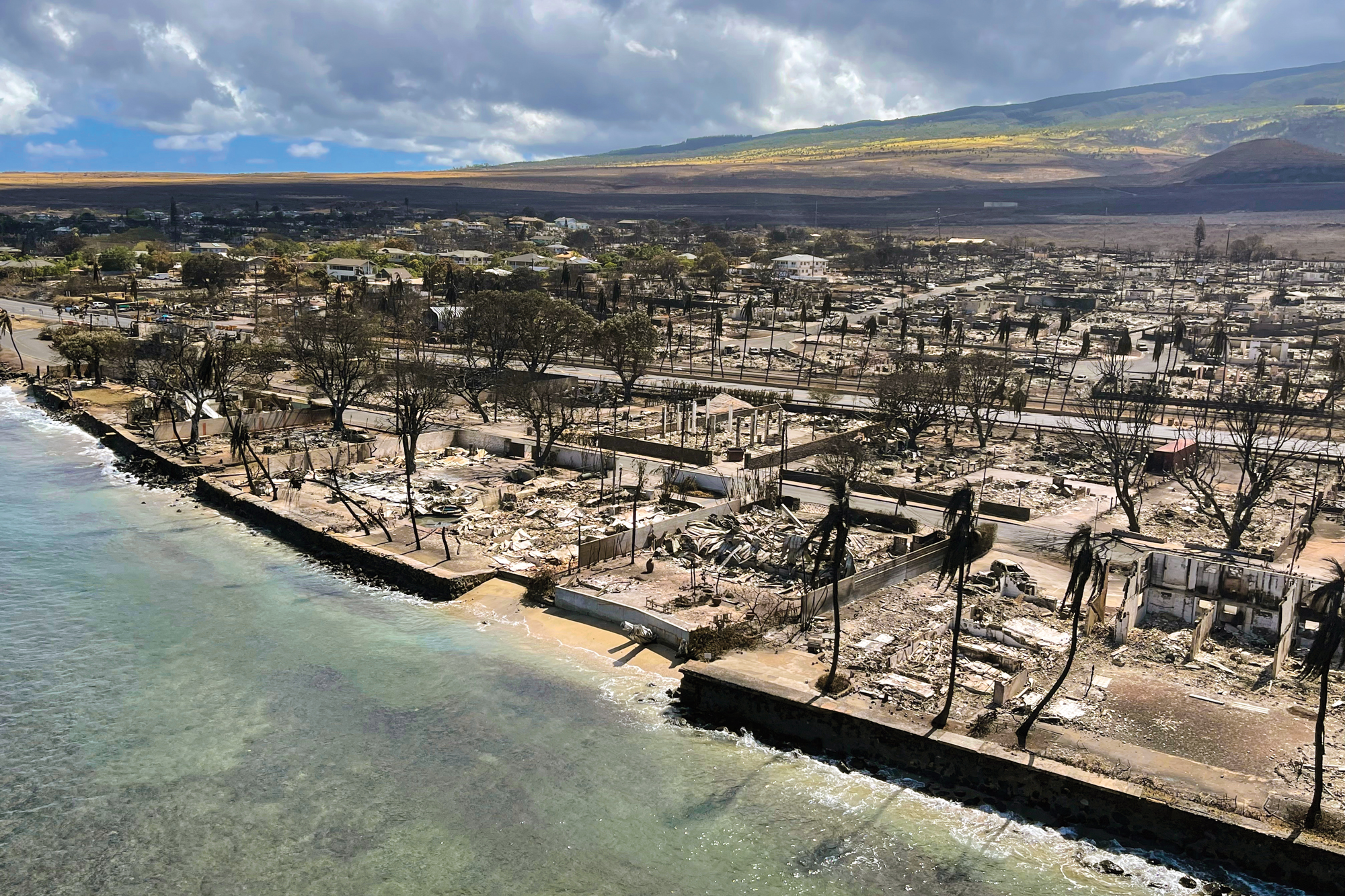 Maui coastline with burned land and trees