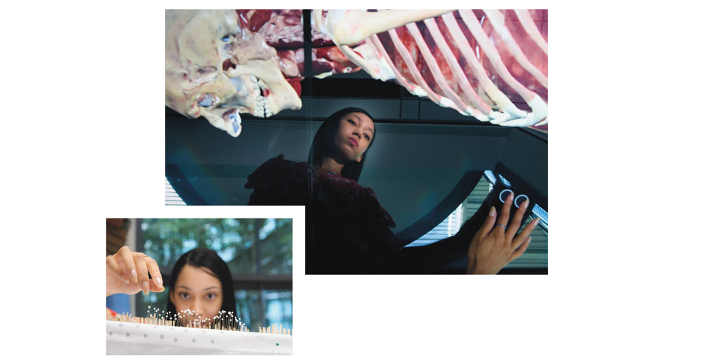 Lauren at the anatomy lab’s virtual dissection table (above) or in her office (left), Toomer favors a tactile approach to education.