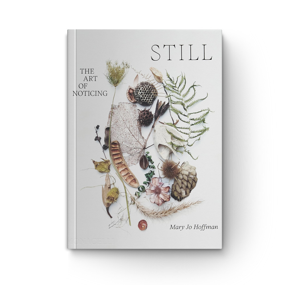 Still: The Art of Noticing book cover