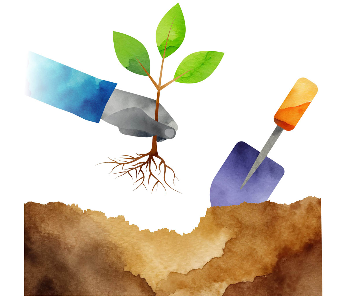 Illustration of a hand planting a small tree.