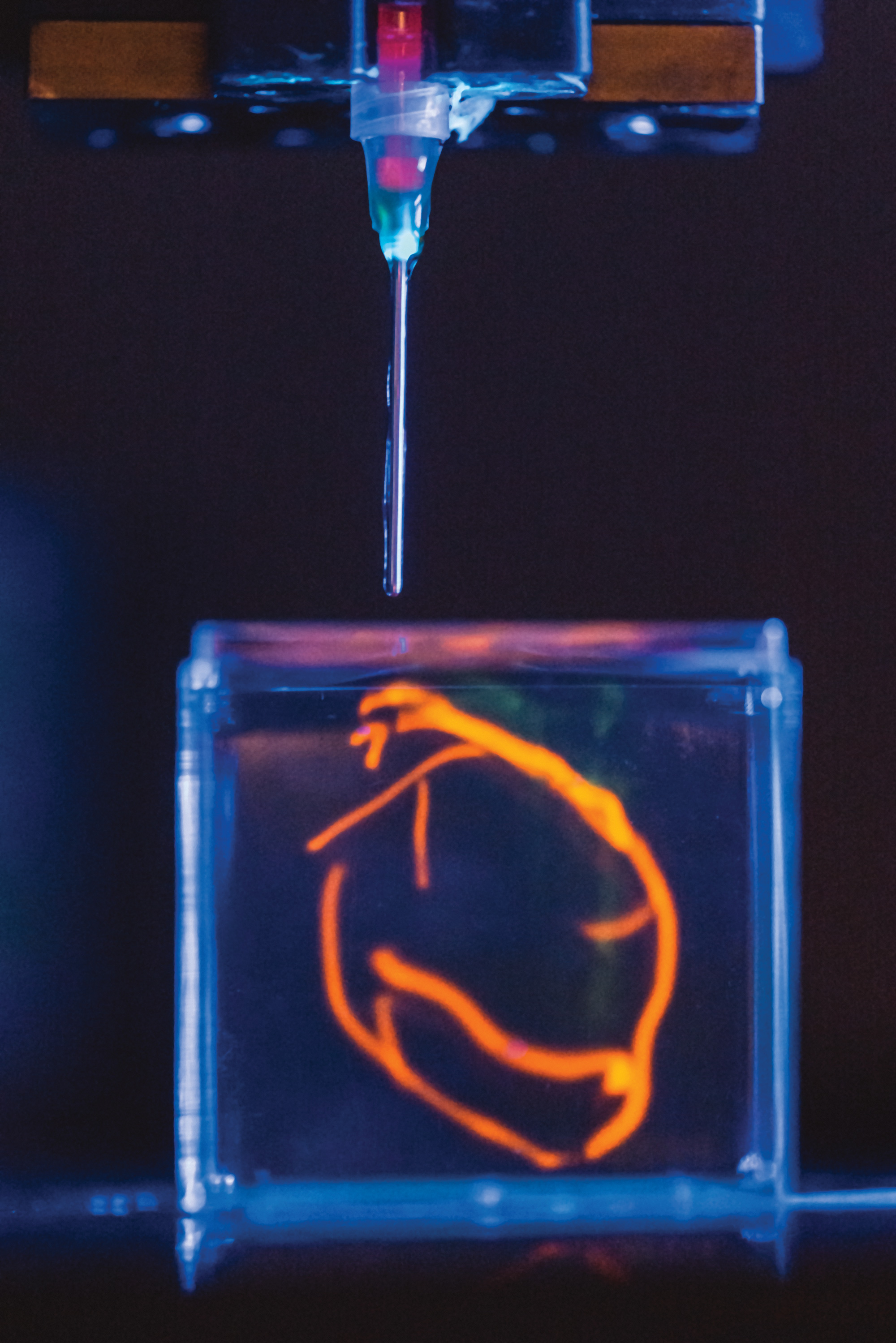 3D-printed heart tissue