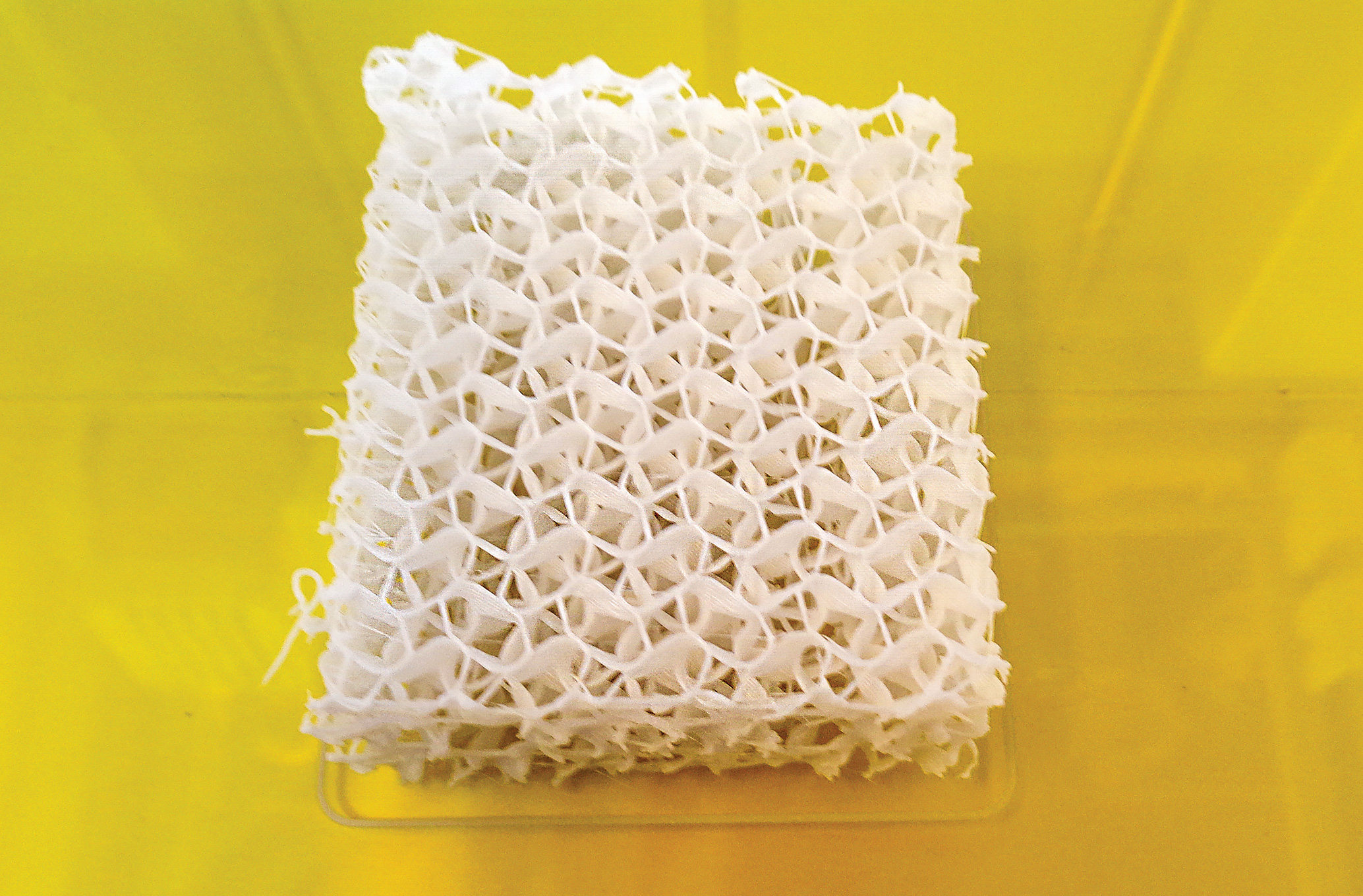 Scaffold stems 3D print