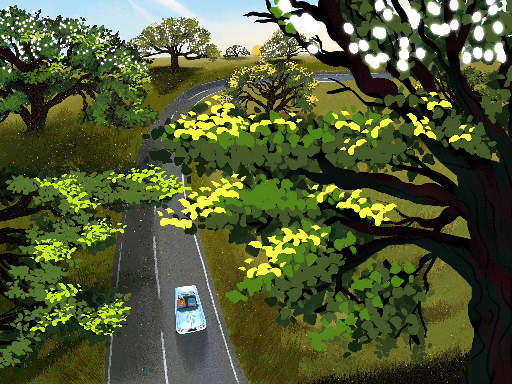 Illustration of a car driving down a road with overhanging trees