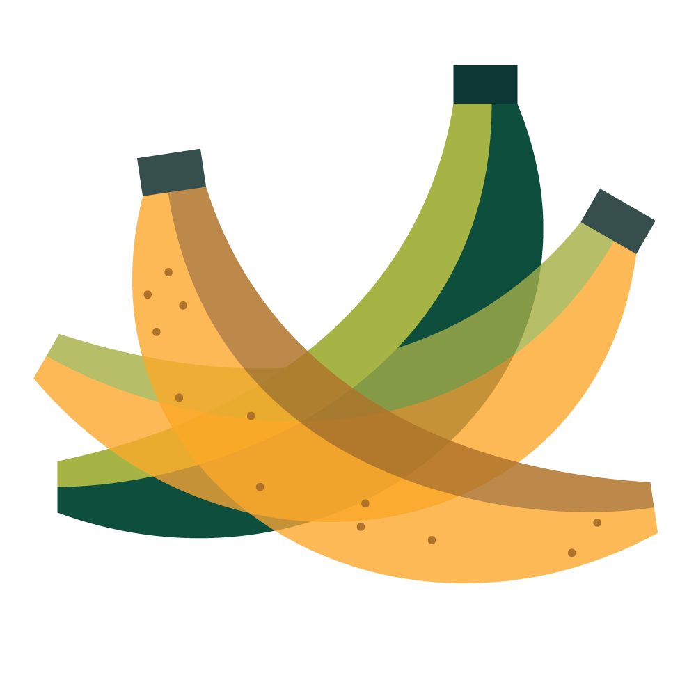 Illustration of a banana bunch
